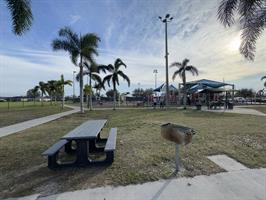  jim-jeffers-park-picnic-table