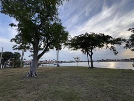 four-freedoms-park-open-space