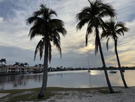 four-freedoms-park-palm-trees