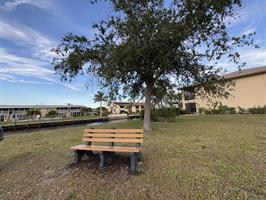 founders-park-park-bench