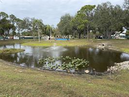 reflections-park-lake-with-fountain