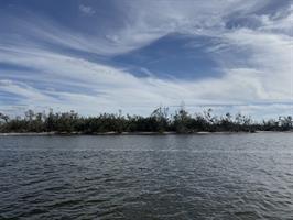 small-island-mangroves