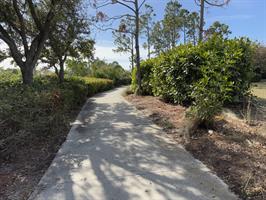 paul-sanborn-park-pathway