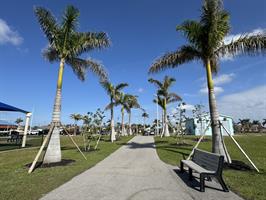 sands-park-palm-trees