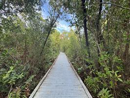 Four Mile Cove Ecological Preserve