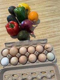 cape-coral-farmers-market-produce-and-eggs