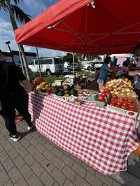 cape-coral-farmers-market-produce