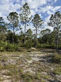 yellow-fever-creek-preserve-campground