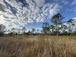 yellow-fever-creek-preserve-grass-sky-clouds