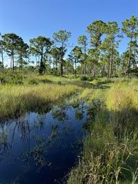 flooding-charlotte-harbor-preserve-state-park