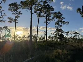 Charlotte Harbor Preserve State Park