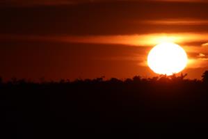 rotary-park-tower-sunset