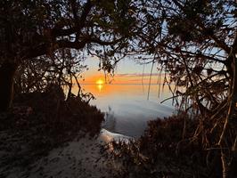 charlotte-harbor-preserve-sunset-december-through-trees