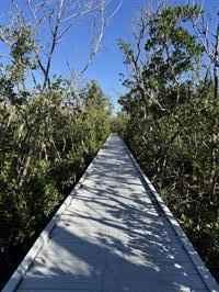 glover-bight-trail-path-walkway