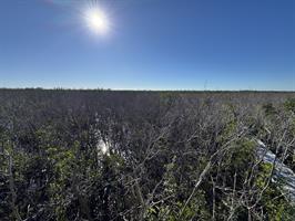 Glover Bight Trail