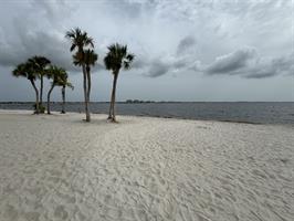 cape-coral-yacht-club-and-trees