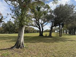 coral-oaks-golf-course