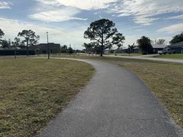 saratoga-lake-park-pathway-with-tree