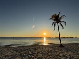  yacht-club-beach-sunset-with-palm-tree