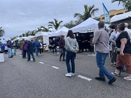  ape-coral-art-festival-and-market-place-painting-vendor-people-walking 