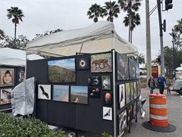  cape-coral-art-festival-and-market-place-photo-vendor 