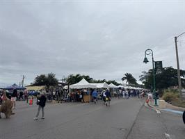  cape-coral-art-festival-and-market-place 