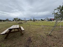  cultural-park-park-bench 